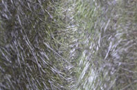 Sicklinghall fibreglass roof work